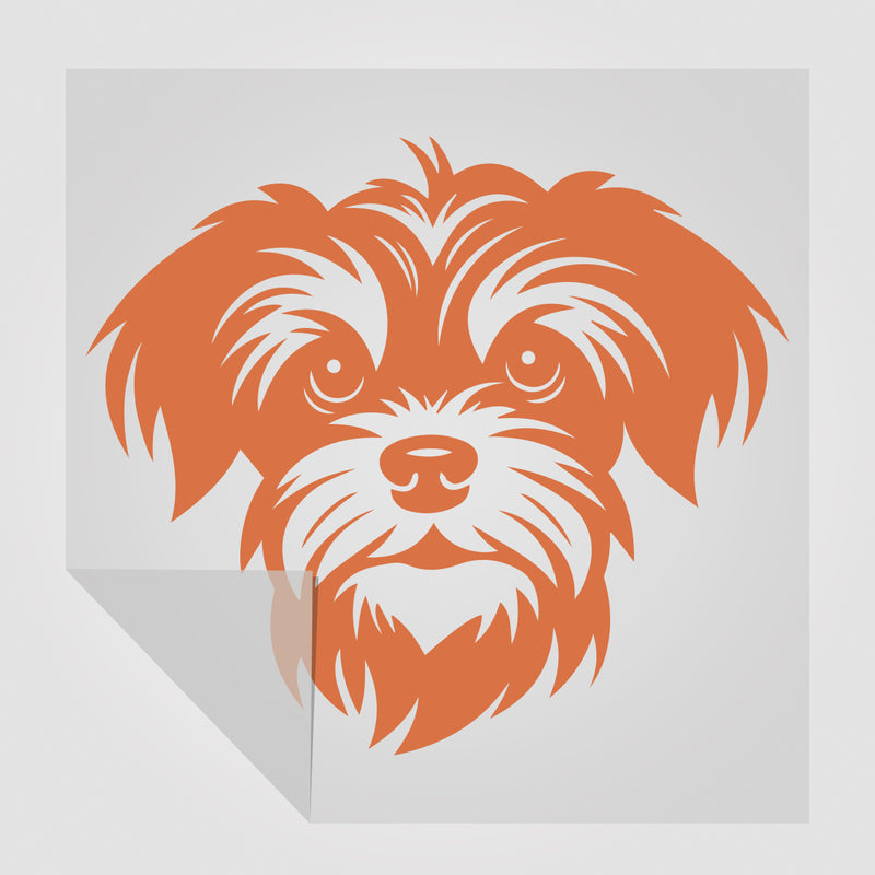 Bolonka Zwetna Hunde Sticker 3 StickyWorld Exclusive | Foliensticker