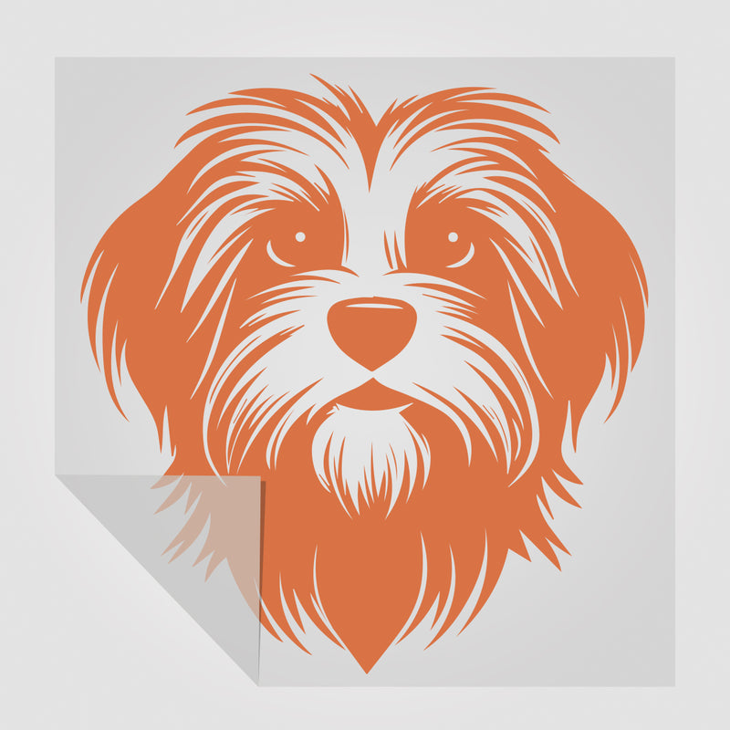 Havaneser Hunde Sticker 2 StickyWorld Exclusive | Foliensticker