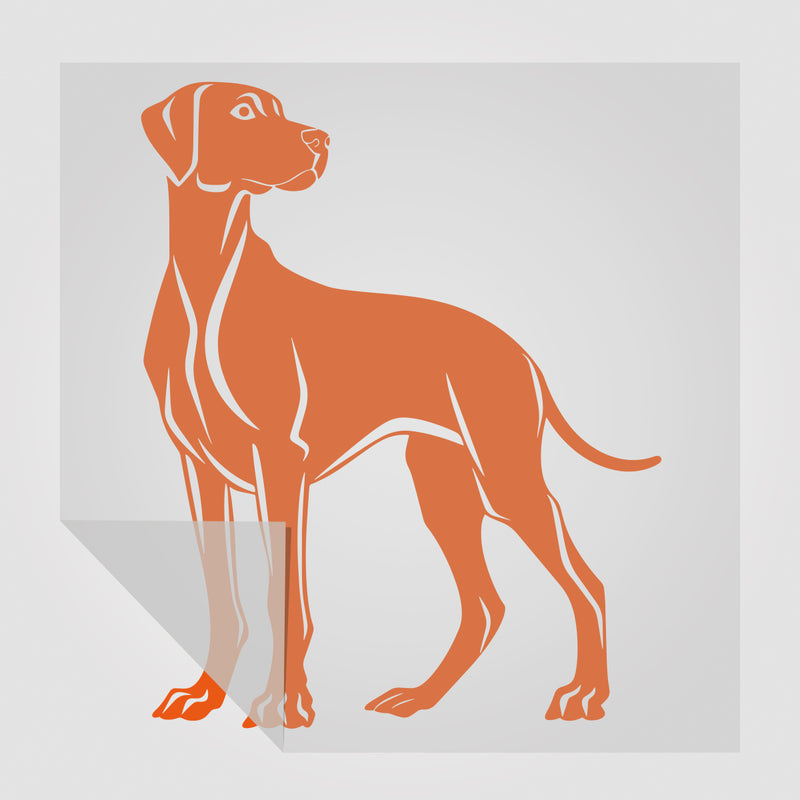 Rhodesian Ridgeback Hunde Sticker 3 StickyWorld Exclusive | Foliensticker