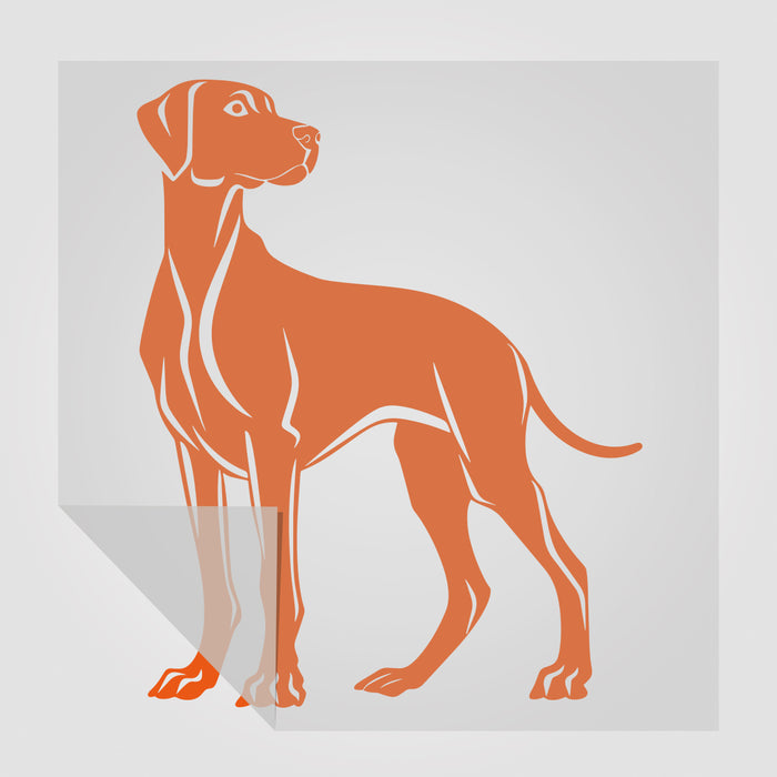 Rhodesian Ridgeback Hunde Sticker 3 StickyWorld Exclusive | Foliensticker