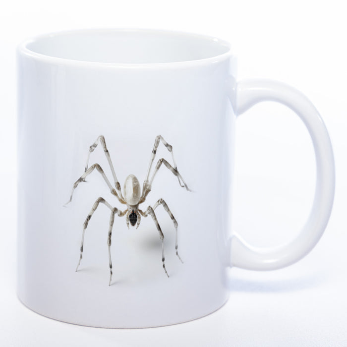 Motiv-Tasse mit 3D Spinne 3 - exclusive Kaffeetasse spülmaschinenfest